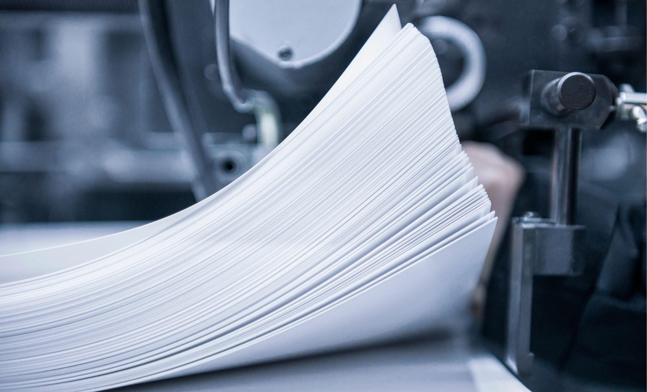 Sheet Form - Specialty Labels